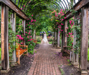 Real Weddings - Summer Wedding at Top of the Town in Arlington VA