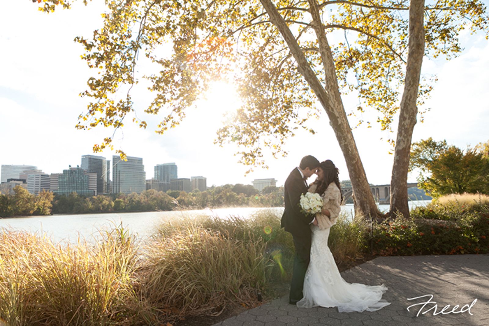 Sequoia dc wedding 